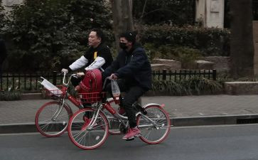 低碳出行倡议书参考5篇