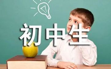 初中工作总结个人总结通用5篇