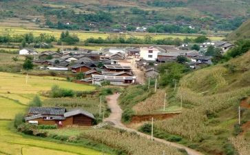 2023村主任的工作报告5篇