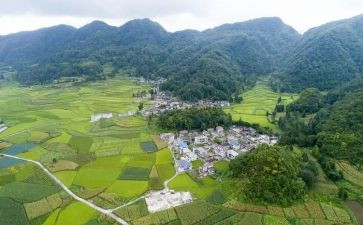 村纪检述职报告范文8篇