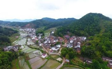 2024年村纪检工作总结范文8篇