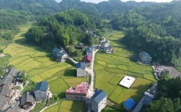 2023年村纪检工作半年总结6篇