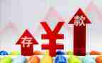 存款保险银行宣传总结6篇
