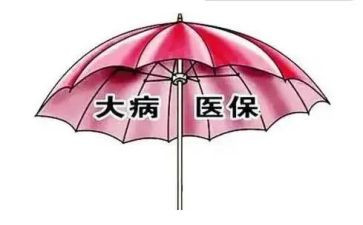 重大病申请书优秀8篇