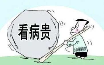 2024年大病救助申请书优质8篇