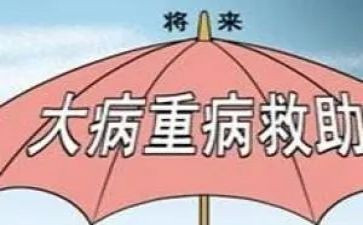 大病补贴申请书7篇