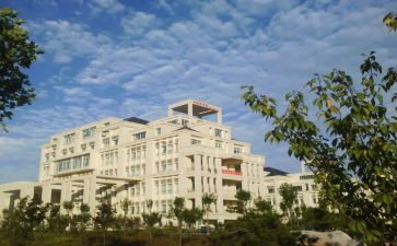 大二学生自我鉴定表范文8篇