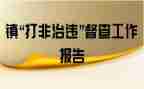 打非专项行动工作总结7篇