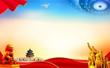 向局党组述职报告8篇