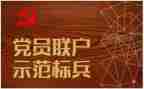 向局党组述职报告最新6篇