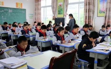 导师和工作总结参考5篇