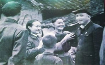 邓子恢实践活动心得体会精选5篇