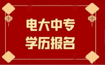 电大调查报告5篇