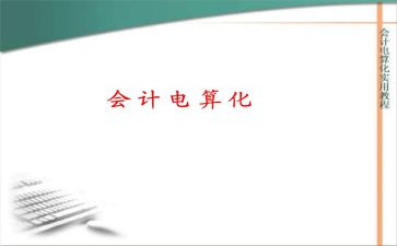 电算化会计个人总结5篇