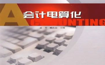 会计电算化个人总结8篇