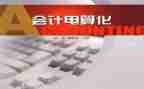 会计电算化个人总结8篇