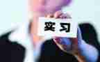 学生顶岗实习个人总结推荐7篇