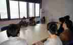 顶岗实训总结报告5篇