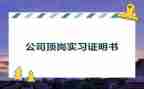 顶岗预实习的心得体会通用7篇
