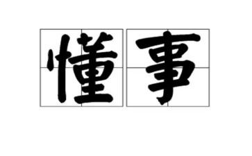我是一个懂事的孩子作文5篇