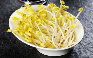 生豆芽的作文400字5篇
