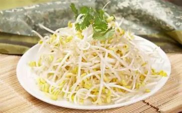 择豆芽作文5篇