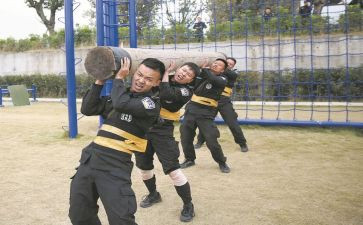 教师队伍改革建设心得体会7篇