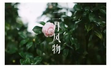 小班十二月份心得6篇