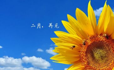 十二月幼儿园工作计划模板7篇