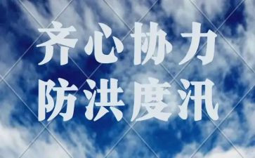 县防洪工作总结7篇