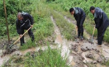 防汛活动总结6篇