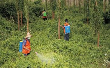 防治艾滋病工作计划5篇