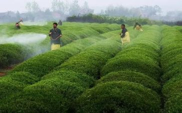 职业病防治宣传周活动总结6篇