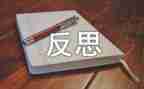 双教案反思参考6篇