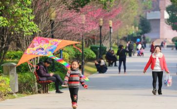 幼儿园风筝活动方案6篇