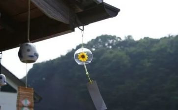 紫风铃作文7篇