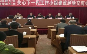 分工委书记述职报告8篇