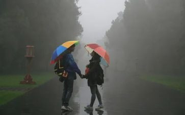 在风雨中作文推荐7篇