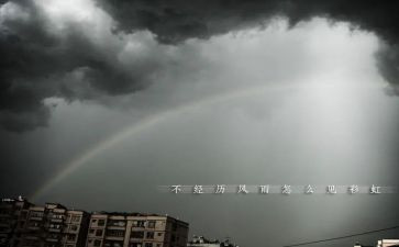 在风雨中作文400字5篇