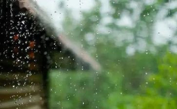 在风雨中作文优秀6篇