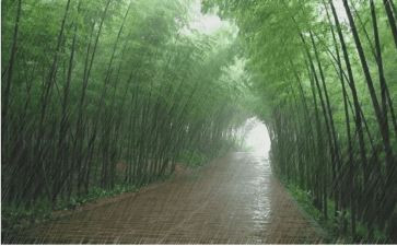风雨吟的教案8篇
