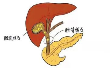 肝胆胰外科的自我鉴定6篇