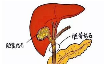 肝胆胰外科心得体会8篇