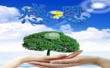 感恩主题活动总结参考8篇