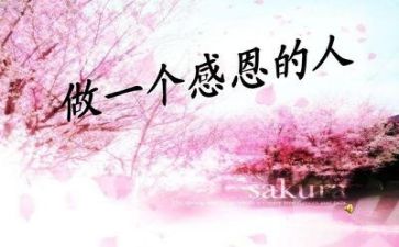 感恩公司的演讲稿8篇