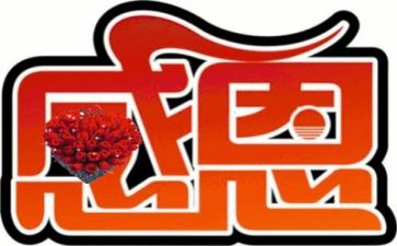 教师的感恩心得体会最新7篇
