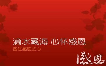 感恩的心的心得体会500字7篇