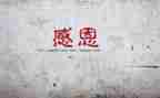 感谢您妈妈作文5篇