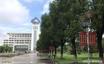 高校食堂工作总结8篇