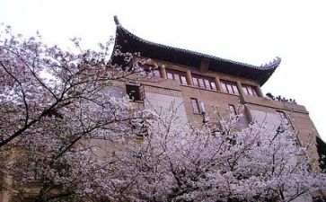 2024年高校教师个人述职报告7篇